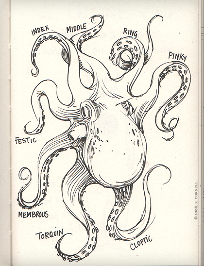 octopus tentacles sketch
