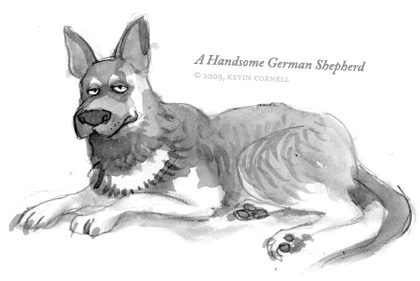 A German Shepherd