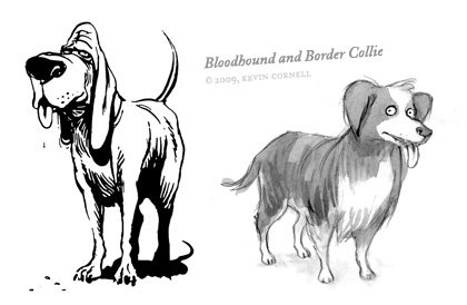 A Bloodhound and Border Collie